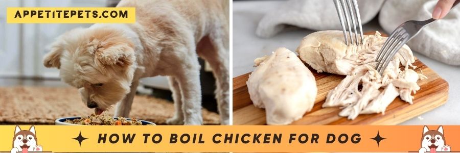 How To Boil Chicken For Dog