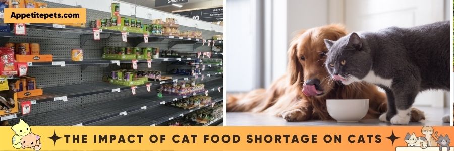 The Impact of Cat Food Shortage on Cat Owners
