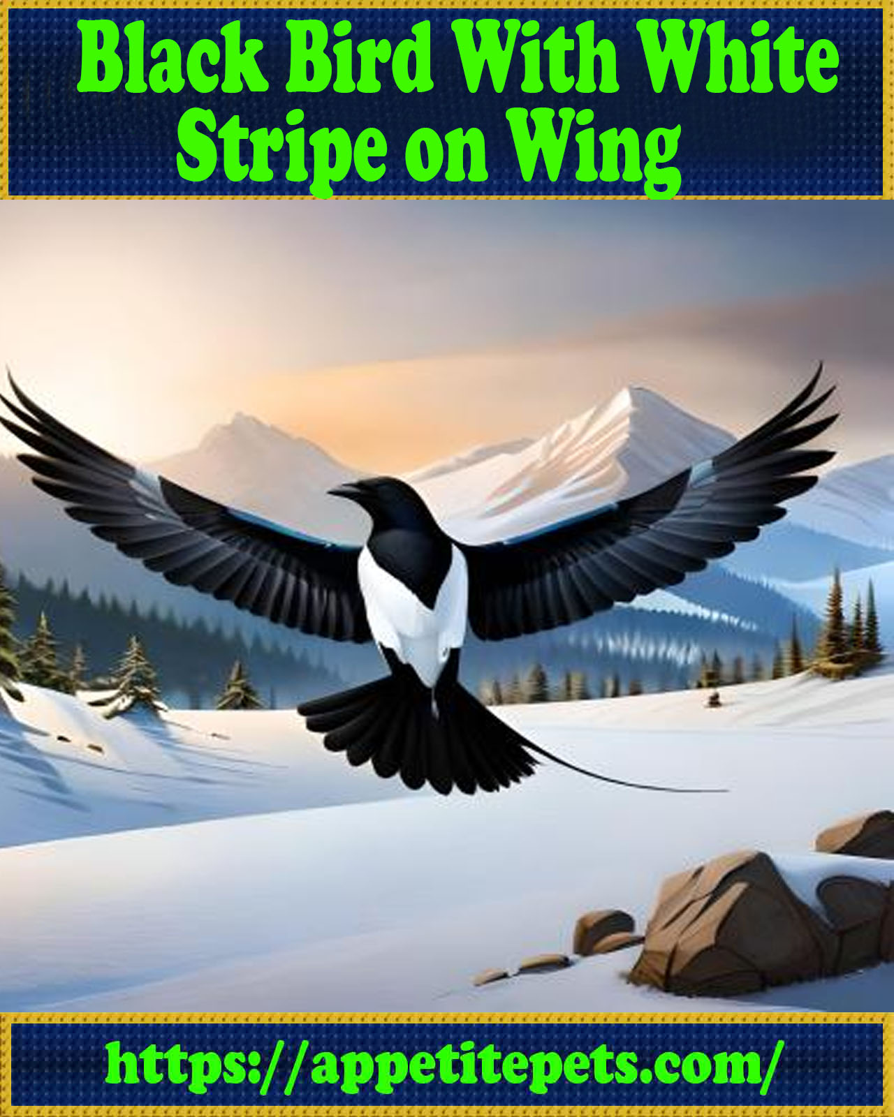 10 Black Bird With White Stripe on Wing