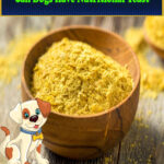 Can Dogs Have Nutritional Yeast