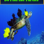 Do Fish Eat Turtles