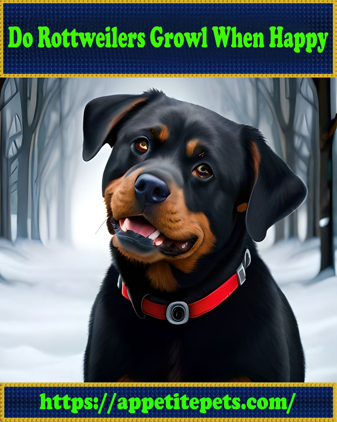 Do Rottweilers Growl When Happy
