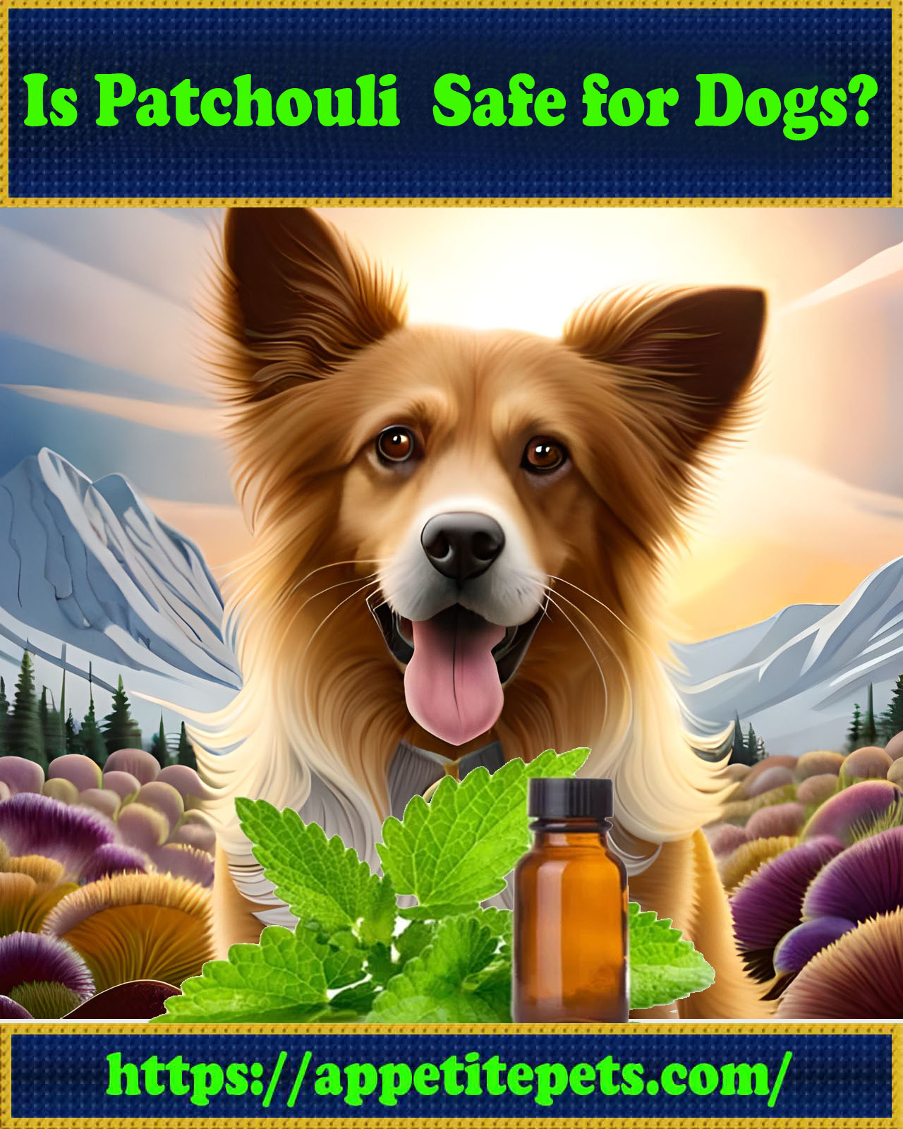 Is-Patchouli-Safe-for-Dogs