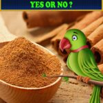 Can Parrots Eat Cinnamon