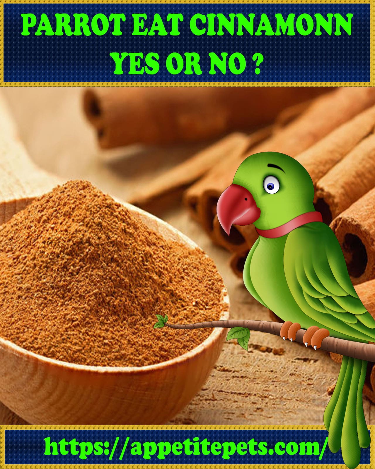 Can Parrots Eat Cinnamon