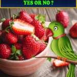 Can Parrots Eat Strawberries