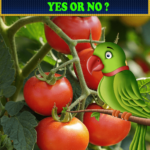 Can Parrots Eat Tomatoes
