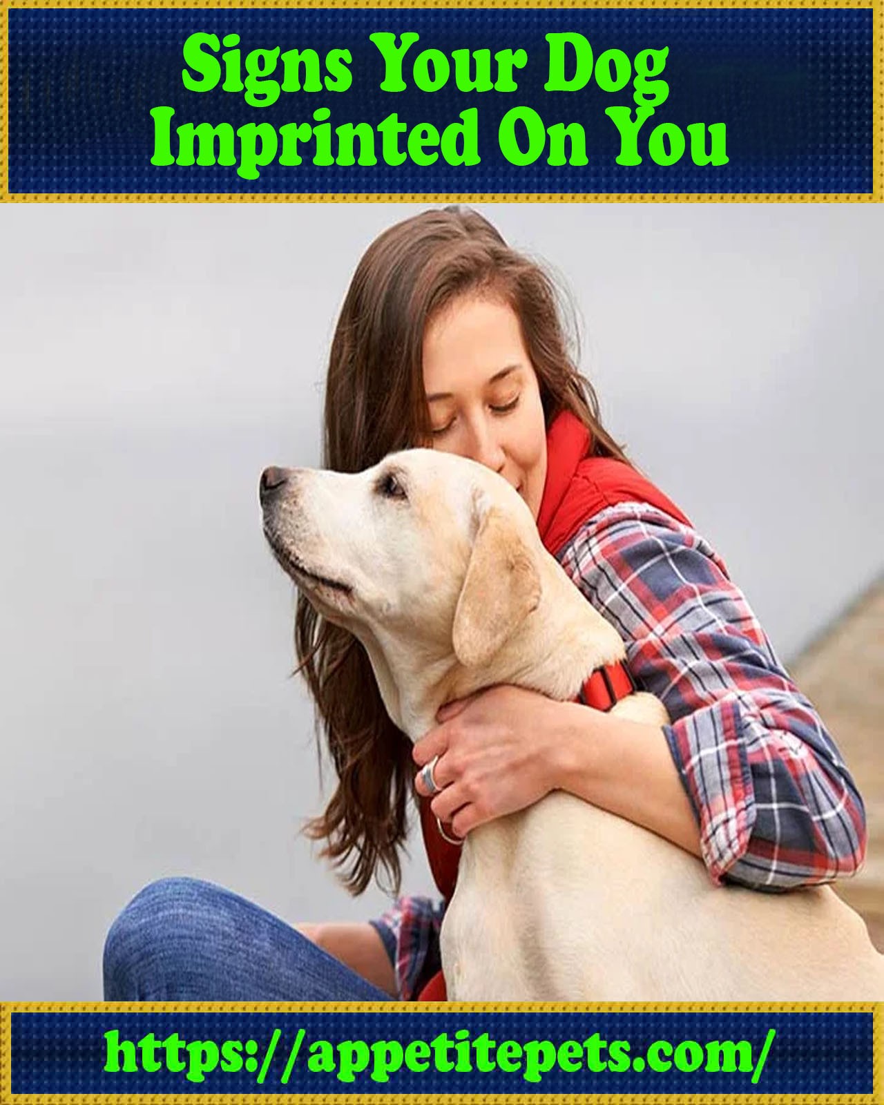 Signs Your Dog Imprinted On You