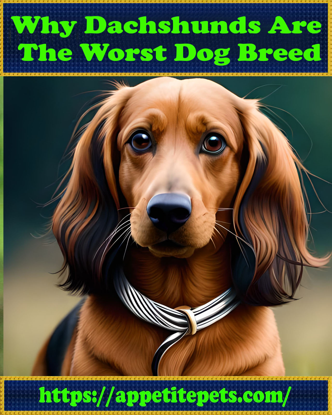 Why-Dachshunds-Are-the-Worst-Dog-Breed