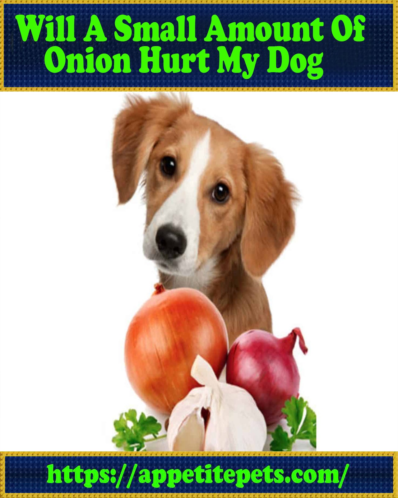 Will A Small Amount Of Onion Hurt My Dog
