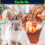 Can Rabbits Eat Ice Cream
