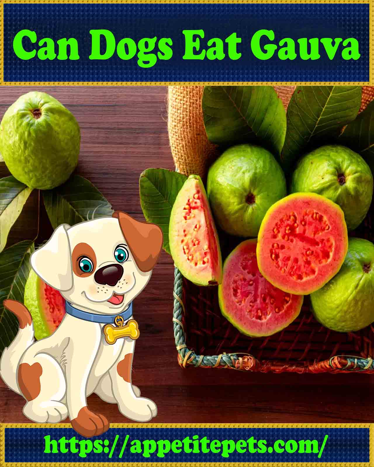 Can Dogs Eat Guava (Best Answers)