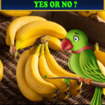 Can Parrots Eat Bananas