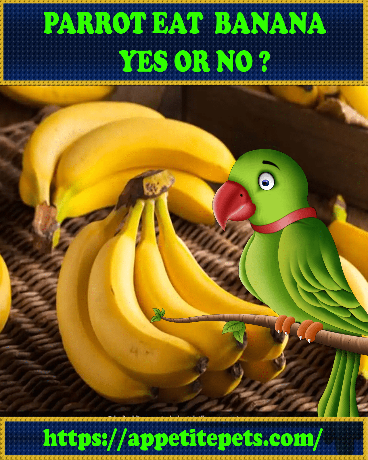 Can Parrots Eat Bananas