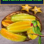 Can Parrots Eat Star Fruit