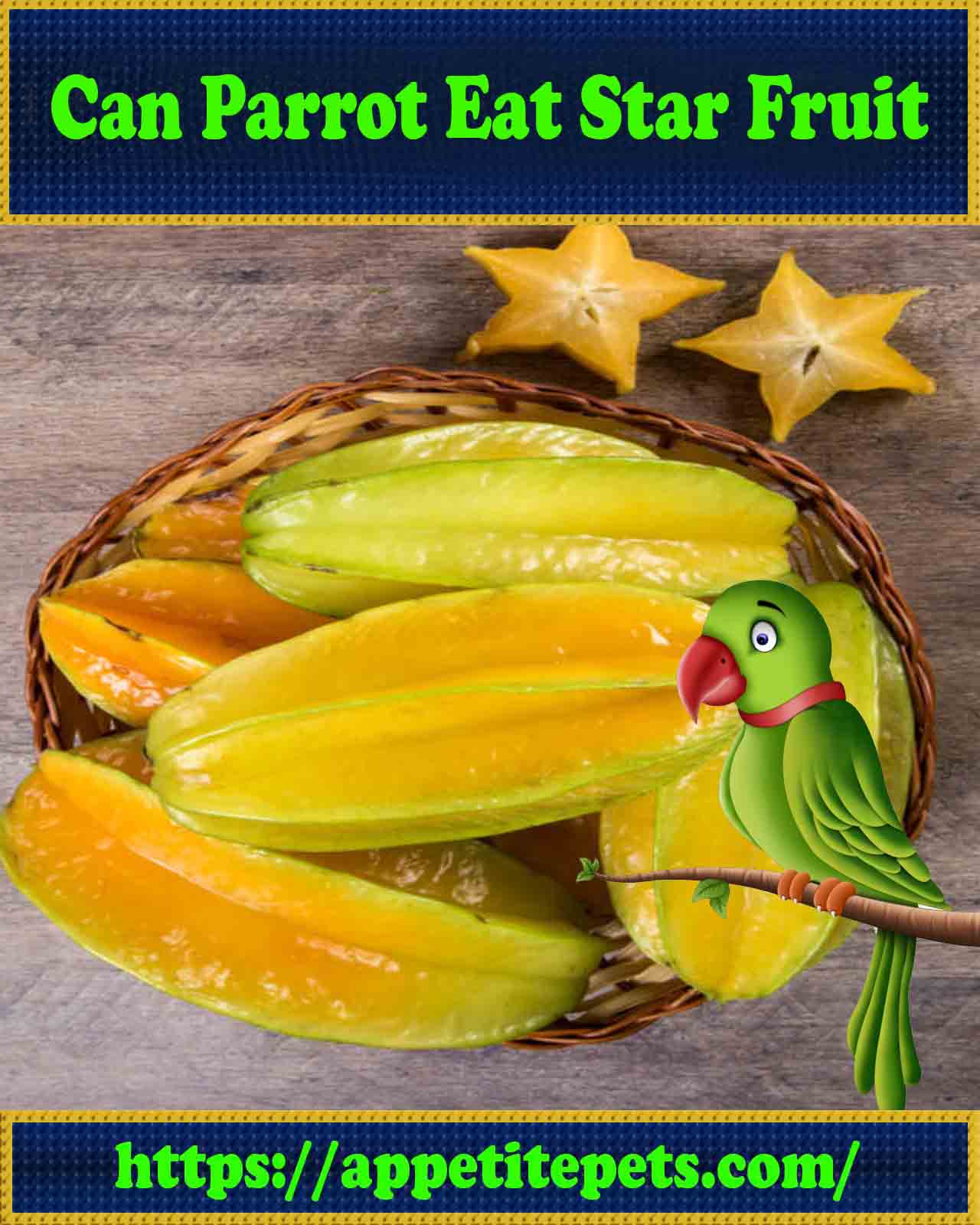 Can Parrots Eat Star Fruit